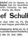 Record image of Josef Schulhof
