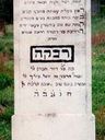 Record image of Regina (Rivka) Fülöp (born Lefkovics)