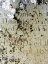 Record image of Alice (Dame Alicia Lyle Lady Alice Lisle last woman to be beheaded in England) Lisle (born Beaconsawe)