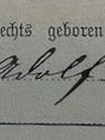 Record image of Adolf Höll