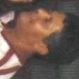 Record image of José Batista da Silva
