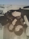 Record image of johanna petronella (annie) Westland-looijschelder