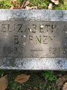 Record image of Elizabeth Ann Burney (born Stark)