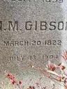 Record image of Nelson Mendenhall Gibson