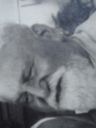 Record image of Gustav Gedaljah Fuchs