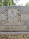 Record image of George Henry Skaggs