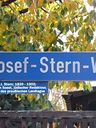 Record image of Josef "Joseph" Stern