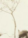 Record image of Maria Isolina “Marita” Sanchez Arias (nacida Soto Gonzalez)