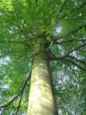 Record image of Marijtje Paulusdr Louter (geboren Tolhooft)