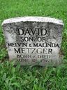 Record image of David (Shantz) Metzger