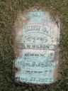 Record image of Emeline C Thompson Wilson (born Youngblood)