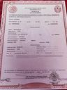 Record image of Maria Ranulfa Juarez (born Lopez Rivera)