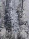 Record image of Jacob Daniel Stein