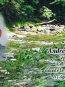 Record image of Andre Perreault
