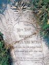 Record image of Michael Petrus Dirk Meyer
