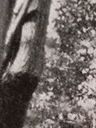 Record image of Olof Sigfridson
