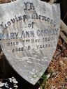 Record image of Mary Ann Conway I (born White (widow Pettit))