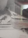 Record image of Friedrich Christopf Schade