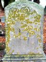 Record image of Lucy Ann Palmer (born Burdick)