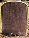 Record image of Electa Lee (born Thayer)