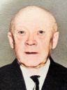Record image of Josef Albert Teodor Wilhelmsson