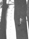 Record image of Hulda P. Larson (born Erickson)