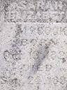Record image of Sarah Ann Elizabeth McCook