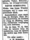 Record image of David Schelling x l.wander