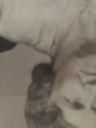 Record image of Johan Edvard Nikolausson