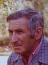 Record image of Alfred Herbert Henriksson