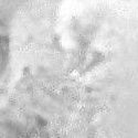 Record image of Rebecca Auxier (born Phillips)