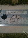 Record image of Hendrik Blankenstein