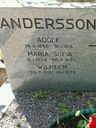 Record image of Adolph Andersson