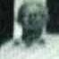 Record image of Earnest Jerome Mitchell