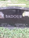 Record image of Catharine A Badour (born Steger)