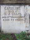 Record image of Caroline Estelle Hoskisson//Lillis (born DAVIS (DAVIES))