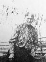 Record image of Gustava Fredrika Jonsson (o.s. Svensdotter)