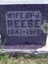 Record image of REBECCA ANN REESE (born MARTIN)
