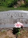 Record image of William McKinley Moore