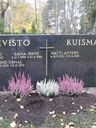 Record image of Johan Väinö Koivisto
