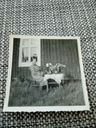 Record image of Eeva Mina Eva Mina forsberg (born Väyrynen)