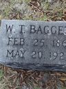 Record image of William Tillman Baggett