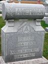 Record image of 4th Aunt Anna Maria "Annie" Amerman, Ford Line*** (born Ford)