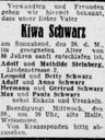 Record image of Adolf Schwarz