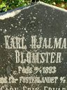 Record image of Karl Hjalmar Blomster