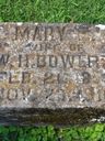 Record image of Mary Ellen Bowers (born Hudgins)