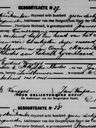 Record image of Maria Filomena ( Mary ) Van Ess (born Vincent)