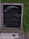 Record image of Johanna Dictus Jongedijk (o.s. Nicolai)