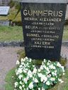Record image of Henrik Alexander Gummerus