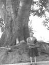 Record image of Effie Lorena Willett (born Pace)